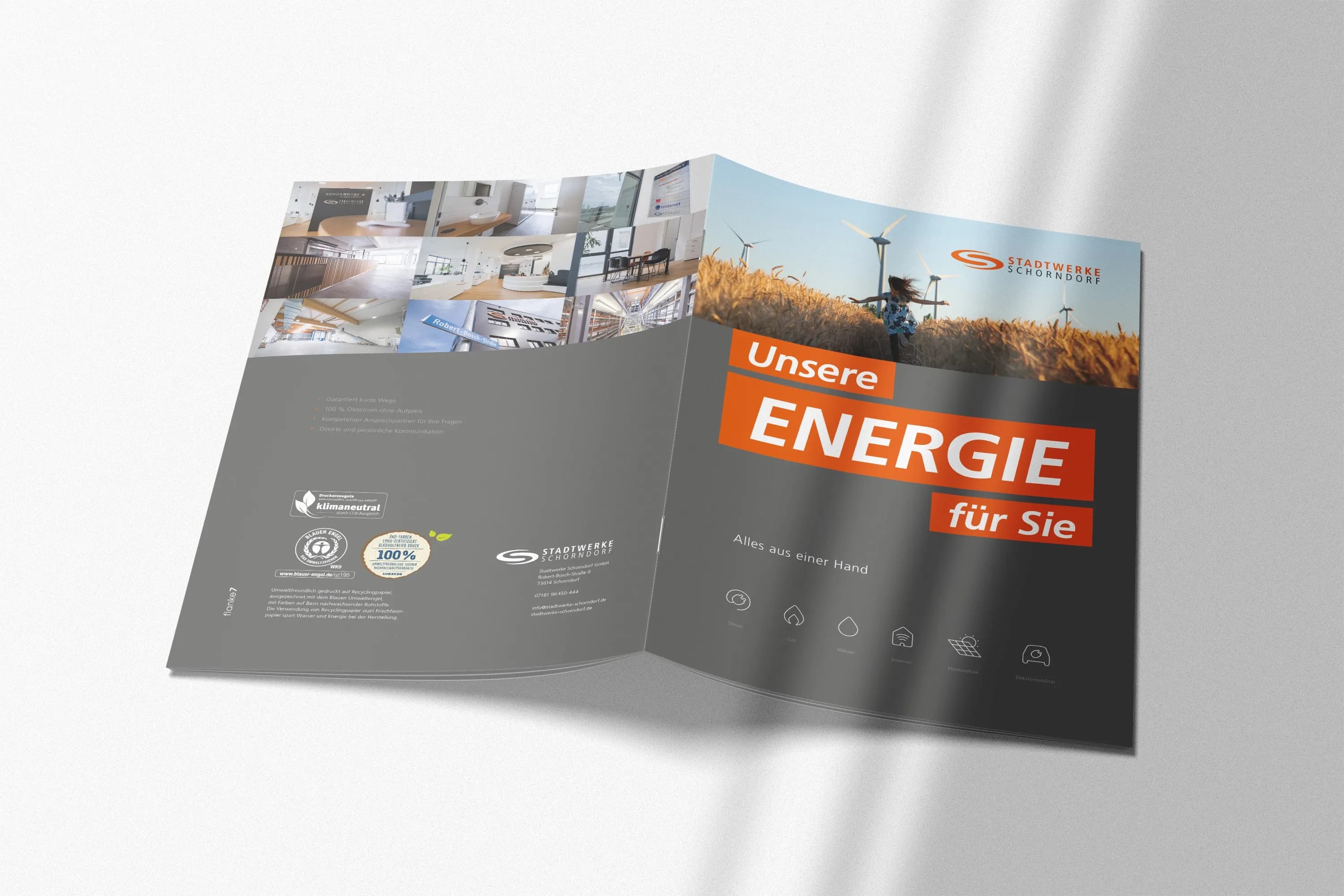 SWS_Postkarte Frühlingserwachen_Mockup