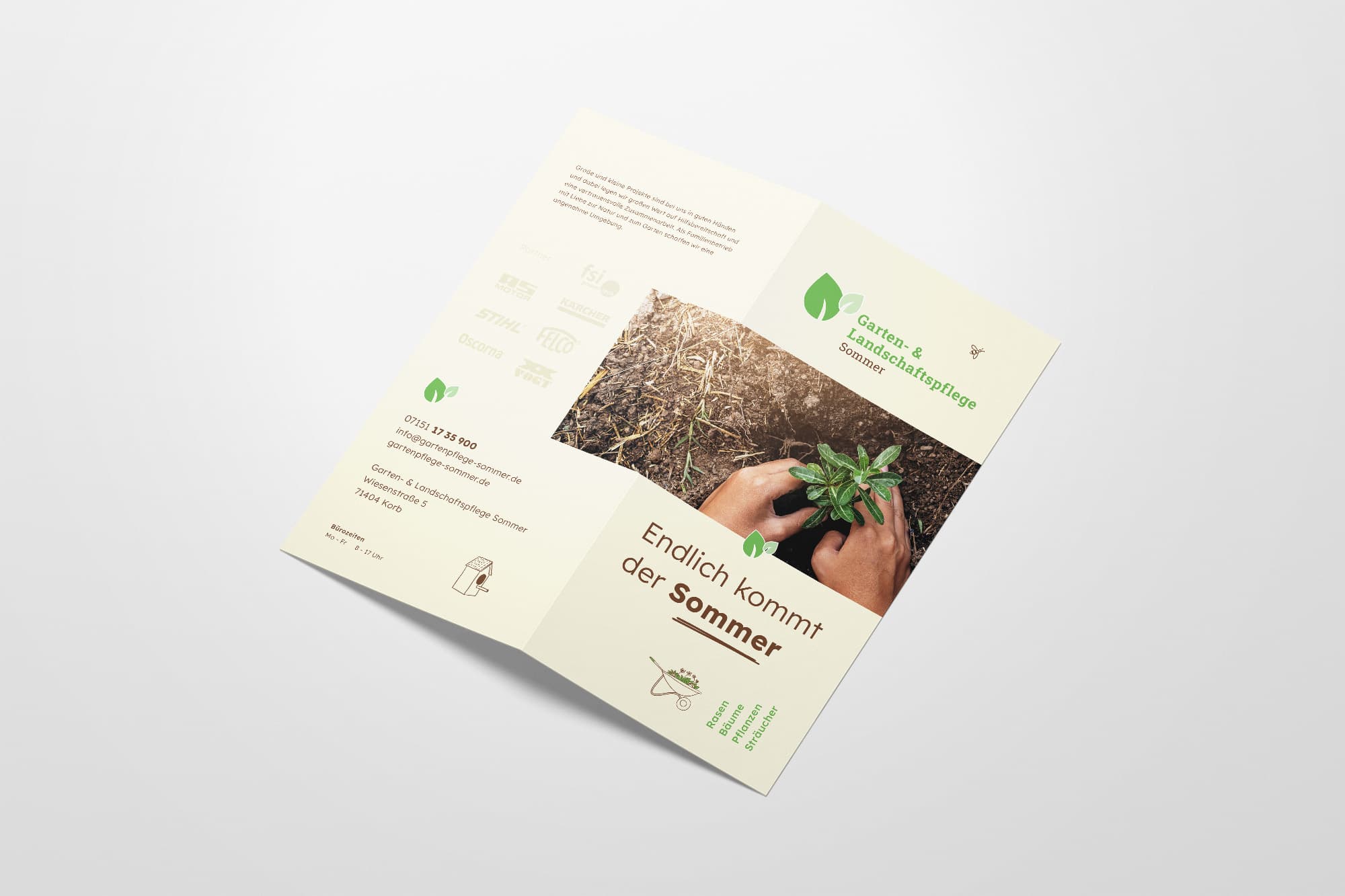 DS_Imageflyer